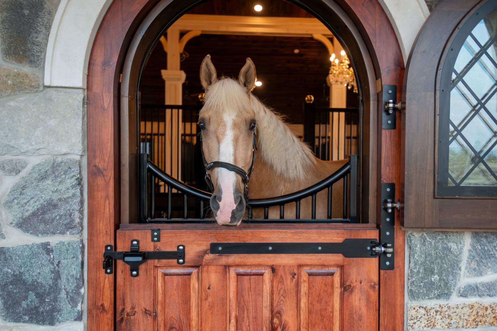 Royal Dutch Friesians - stall door exterior open