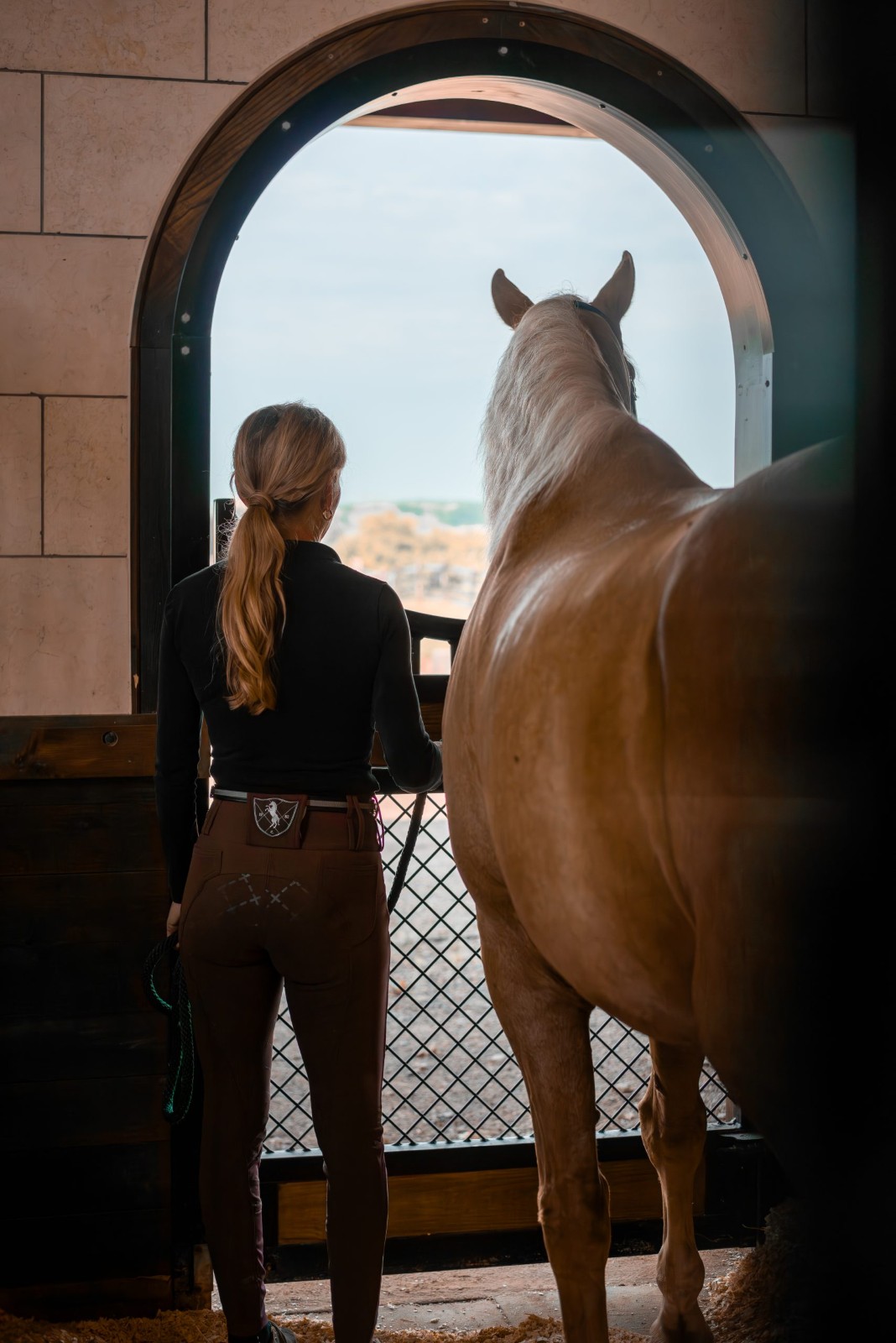 Royal Dutch Friesians - stall door