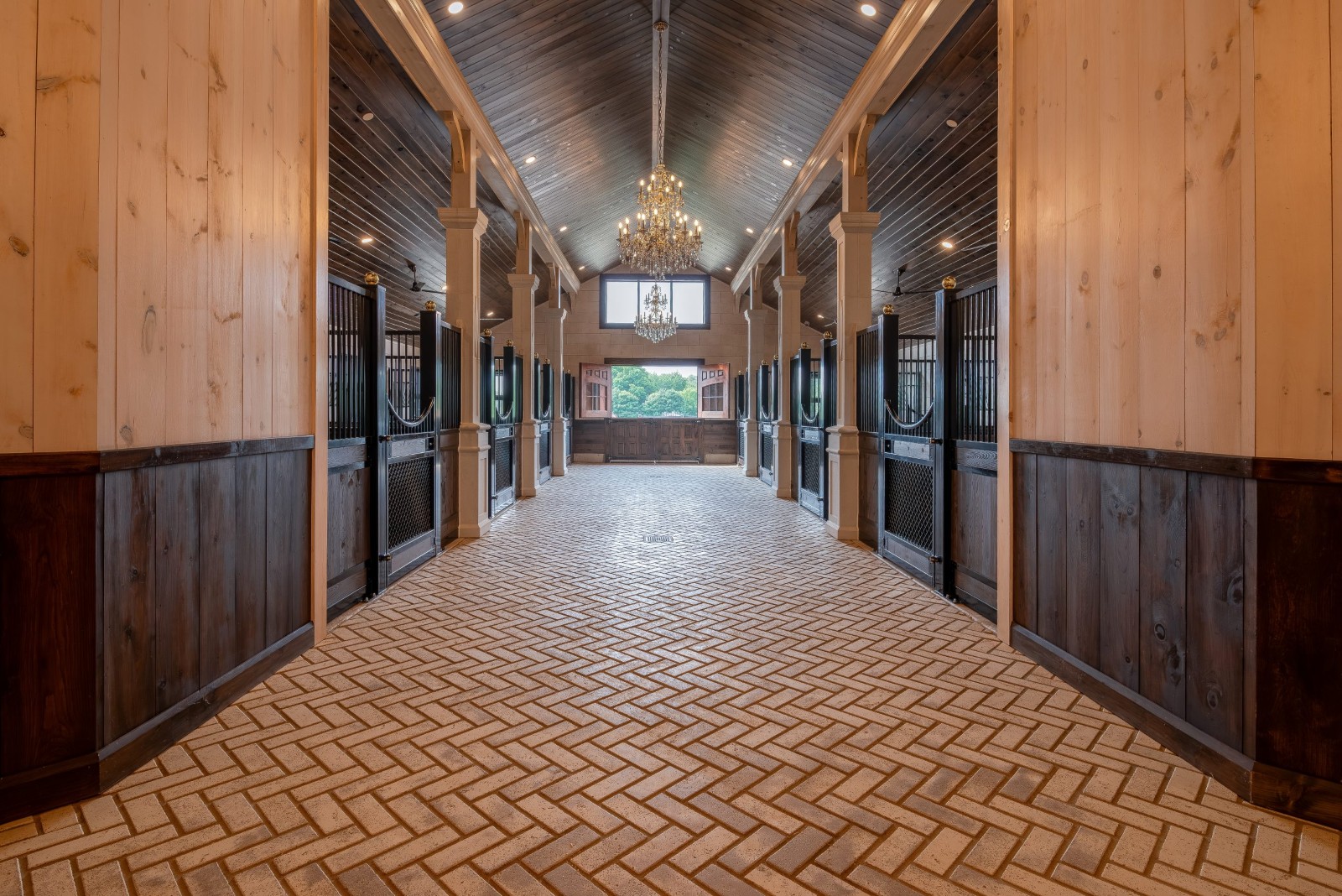 Royal Dutch Friesians - view of stalls