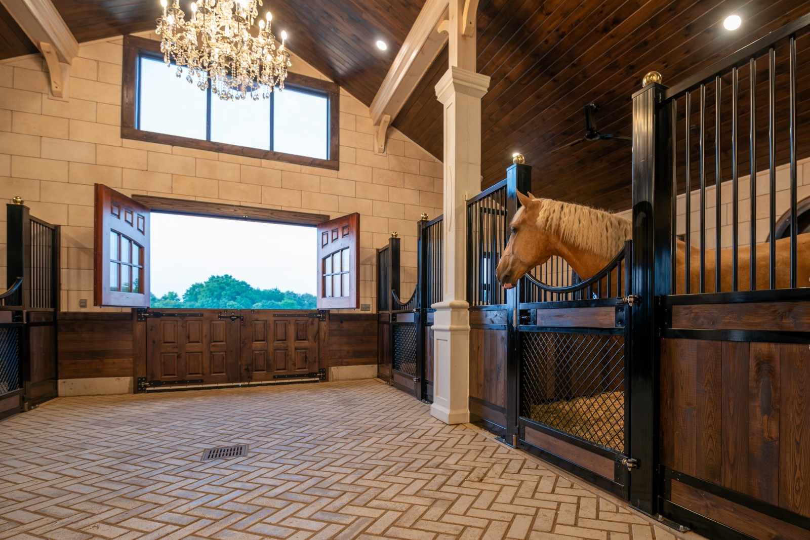 Royal Dutch Friesians - exterior door at stalls