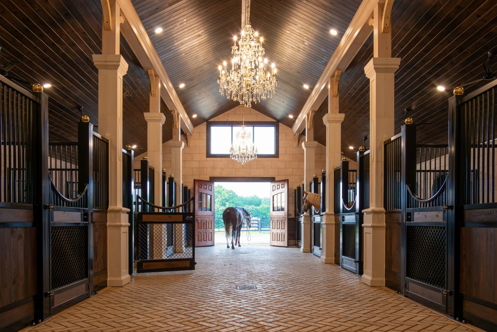 Royal Dutch Friesians - alley with chandelier