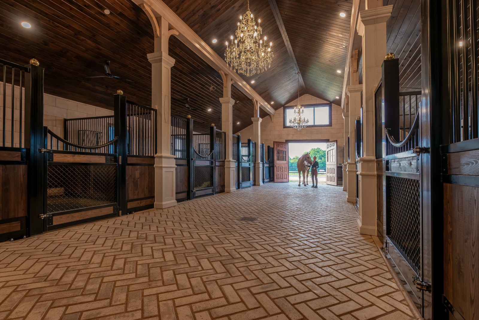 Royal Dutch Friesians - stall barn alley
