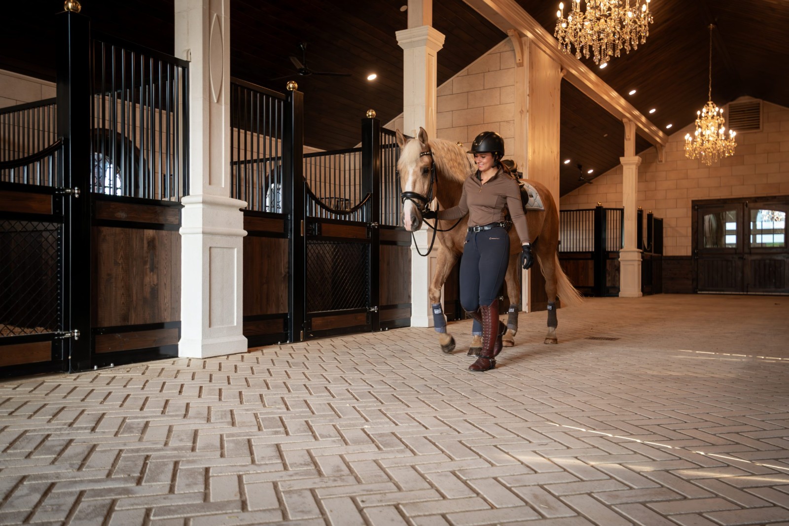 Royal Dutch Friesians - stall barn alley with horse