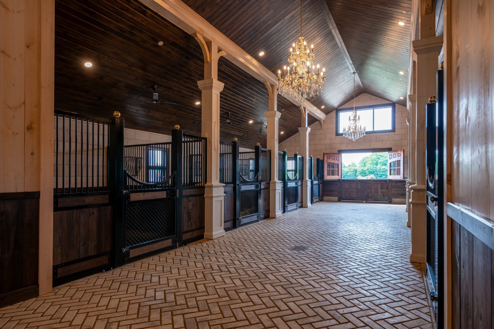 Royal Dutch Friesians - stall barn alley