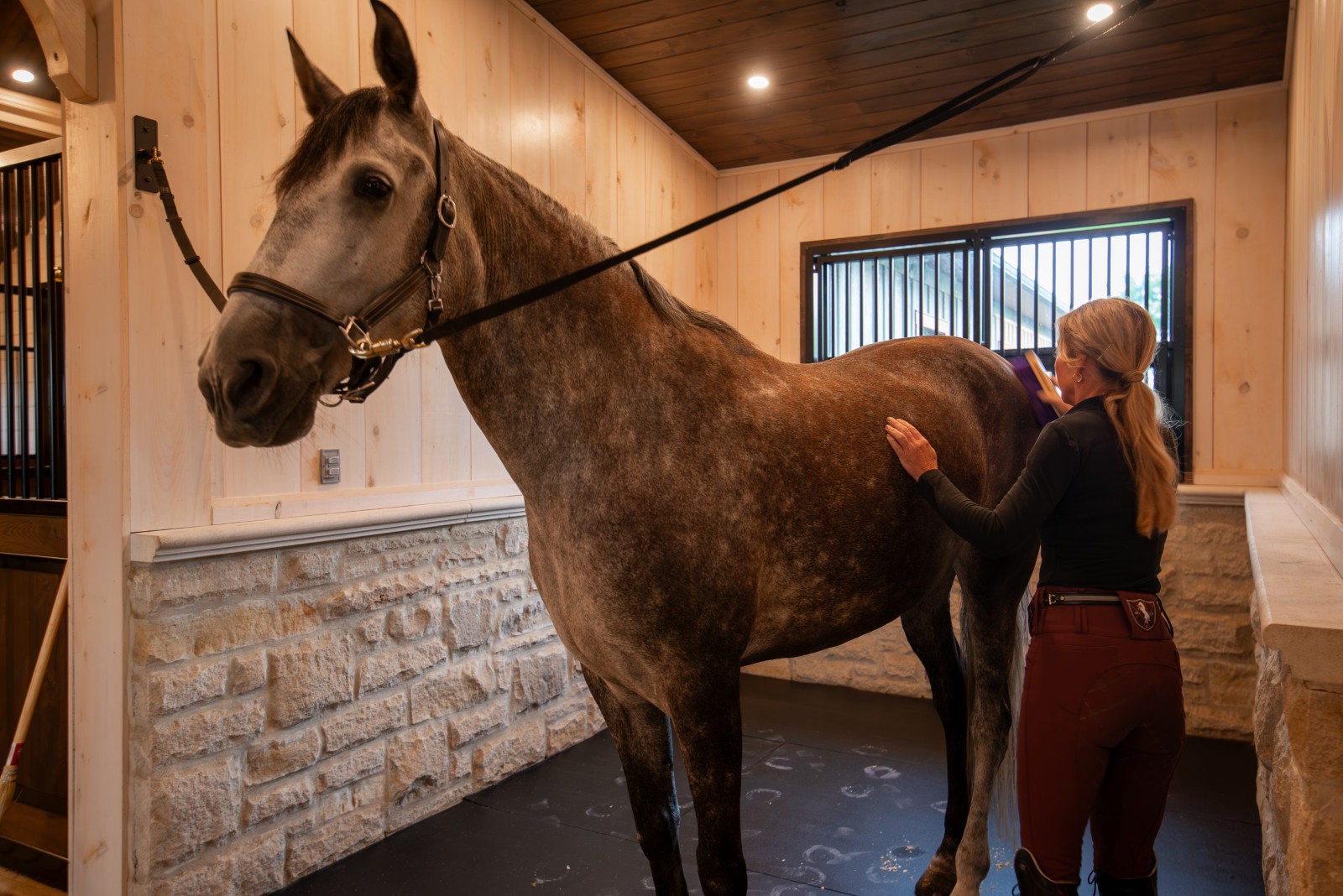 Royal Dutch Friesians - stone walled groom stall