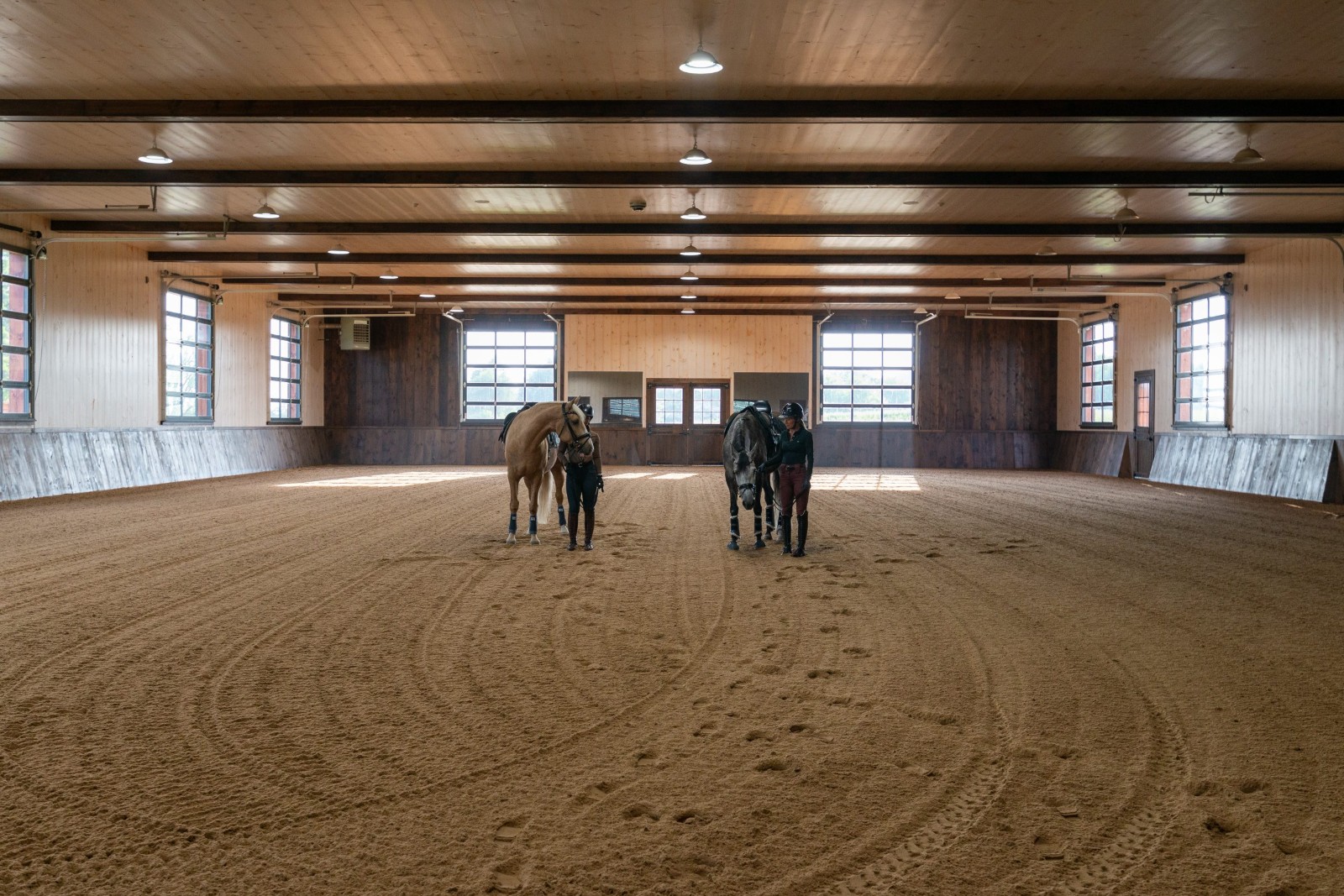 Royal Dutch Friesians - riding arena
